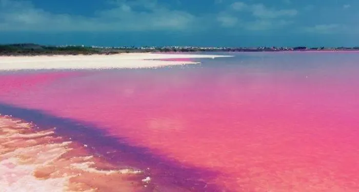 Casa Weusthof Apartment *